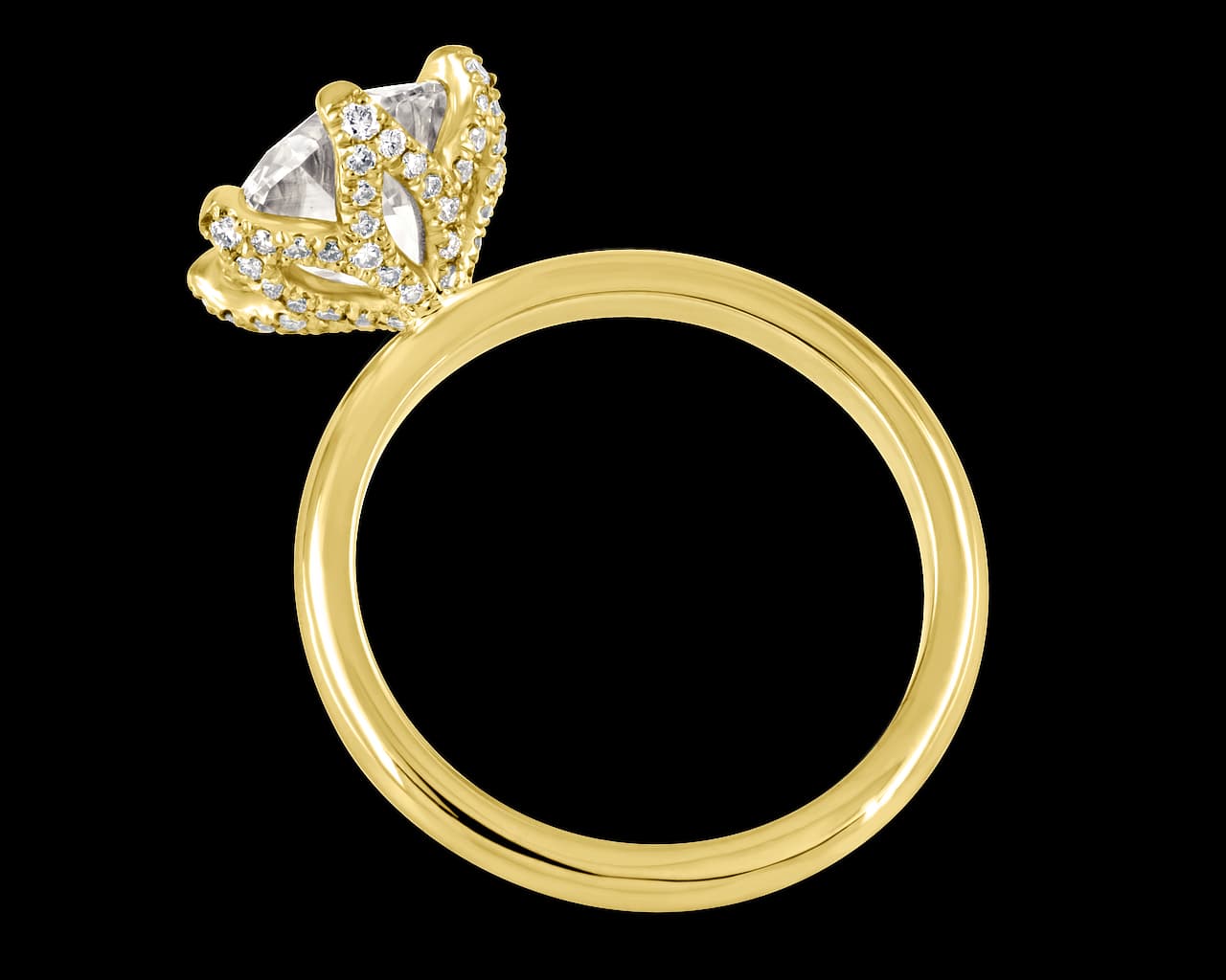 The Elodie Lotus Solitaire