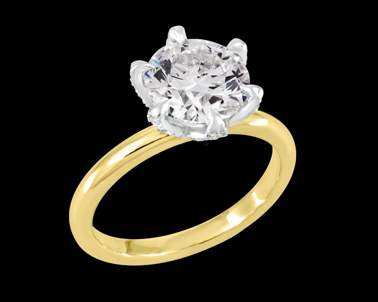 The Elodie Lotus Solitaire