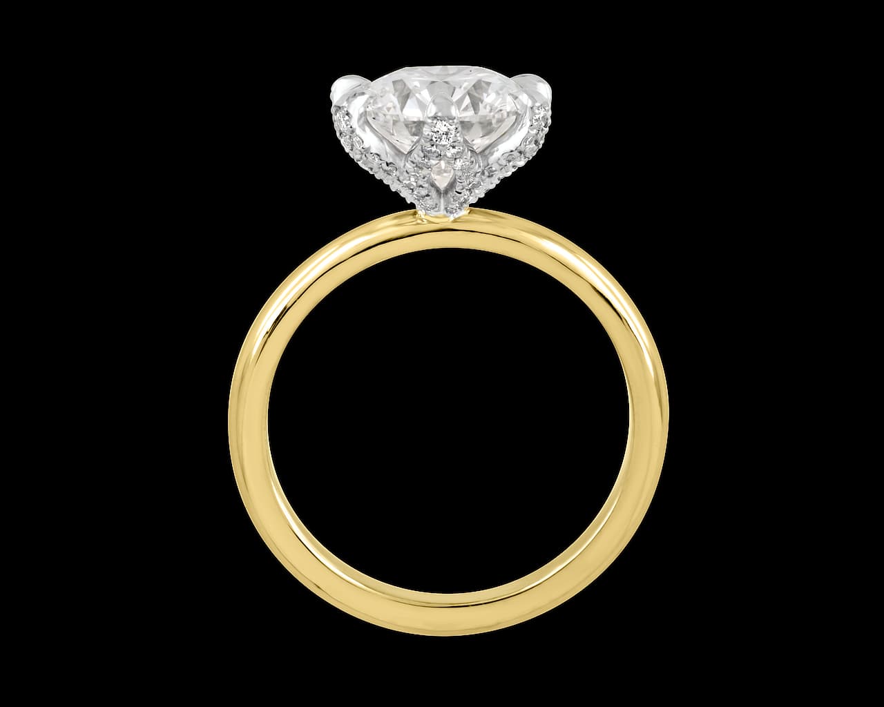 The Elodie Lotus Solitaire