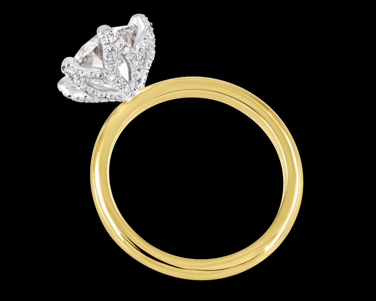The Elodie Lotus Solitaire