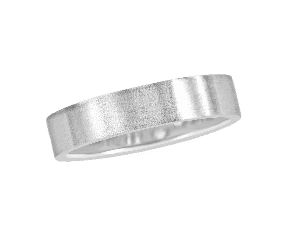 The Blake Men's 4mm Brushed Band