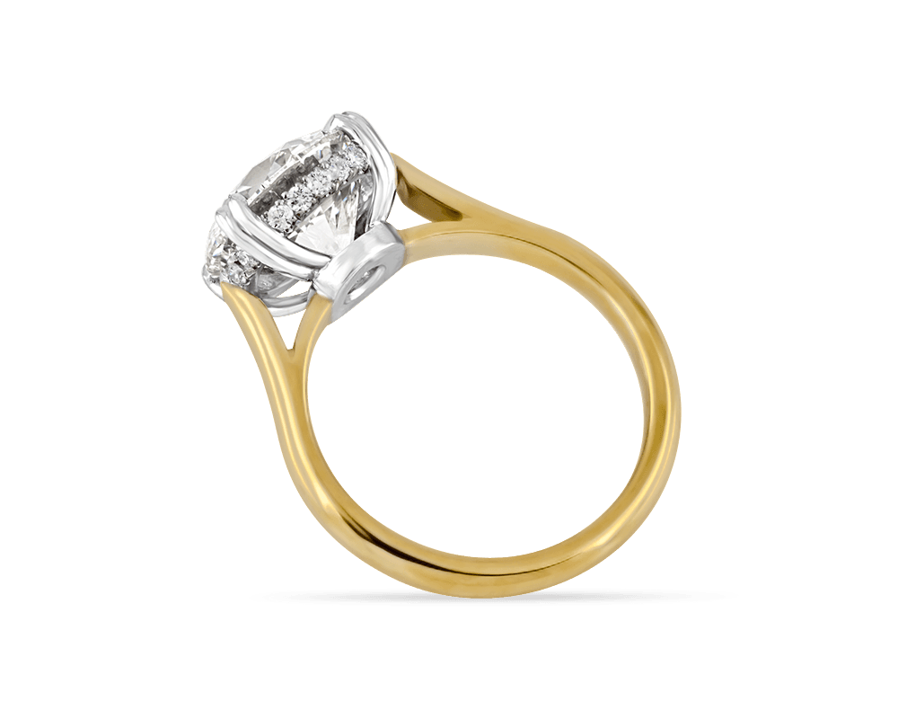 The Trueste Solitaire with Invisible Halo